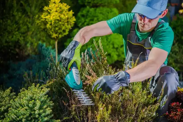 landscaping services Binghamton